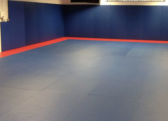 Tienda Zebra Boxeo