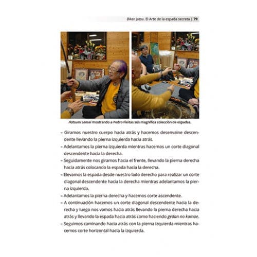 BIKEN JUTSU. EL ARTE DE LA ESPADA SECRETA