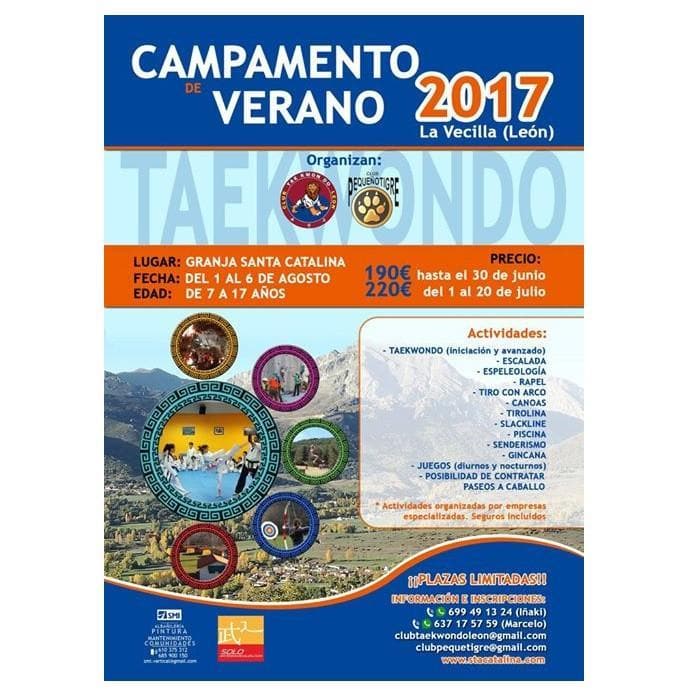 CAMPAMENTO DE VERANO TAEKWONDO 2017