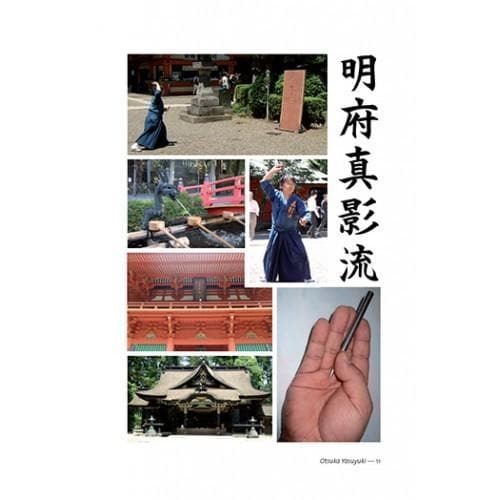 CÓMO APRENDER MEIFU SHINKAGE RYU