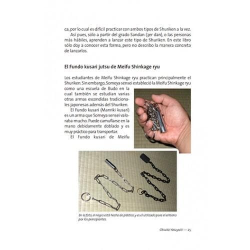 CÓMO APRENDER MEIFU SHINKAGE RYU