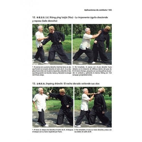 DÀBĒI QUÁN. PUÑO DE LA GRAN COMPASIÓN - BOXEO SUAVE DE SHÀOLÍN