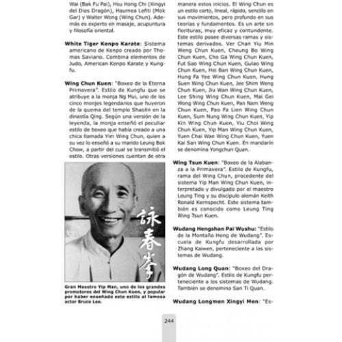 DICCIONARIO DE ESTILOS DE ARTES MARCIALES 🙏