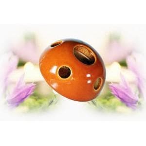 Difusor Orange para Aromatizador Aceites Esenciales