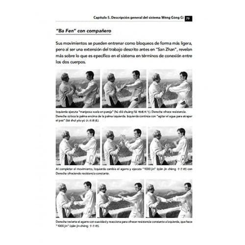 KUNGFU DE LA GRULLA BLANCA DE YONGCHUN