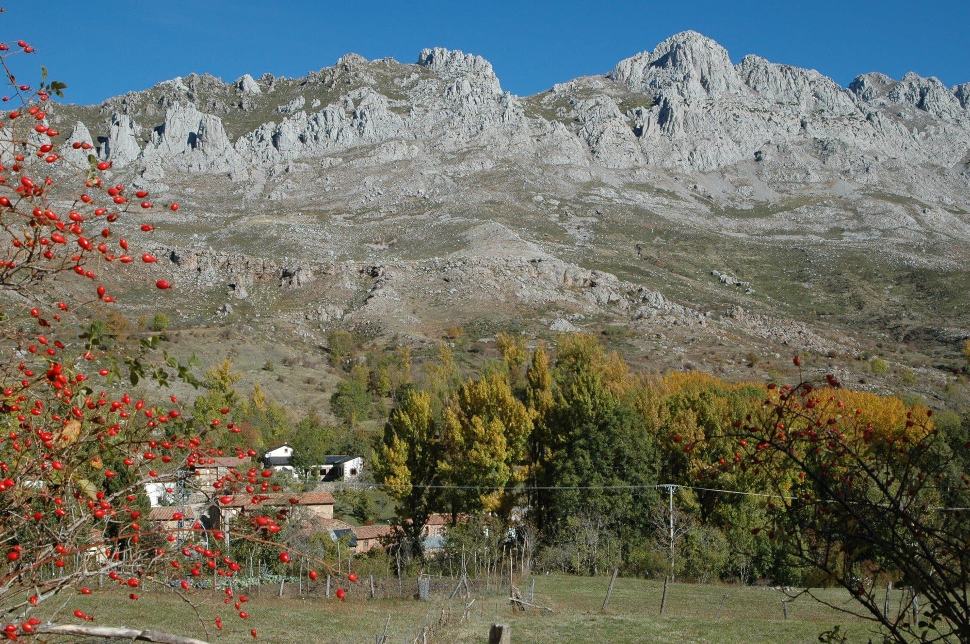 CAMPAMENTO DE VERANO TAEKWONDO 2017