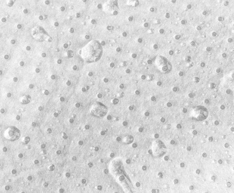 MASCARILLA Deportiva SAMTO FFP3 Pack 10 units