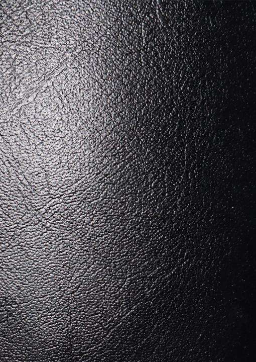 Saco Boxeo Zebra Pro Luxury