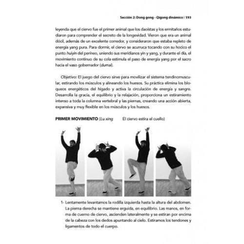 Libros - CURSO DE QIGONG. TEORÍA Y PRÁCTICA (VOLUMEN I)