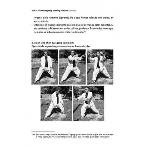 CURSO DE QIGONG. TEORÍA Y PRÁCTICA (VOLUMEN II)