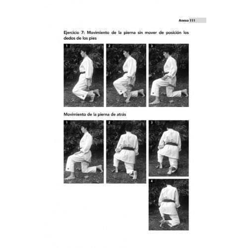 Libros - INICIACIÓN A LA ENSEÑANZA DE AIKIDO INFANTIL